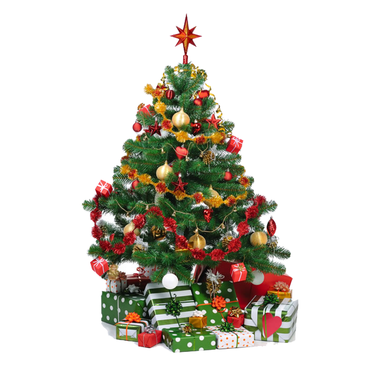 Gloed Geweldig Bukken Nordmann Kerstboom 150 cm geimpregneerd | RH Brandbeveiliging